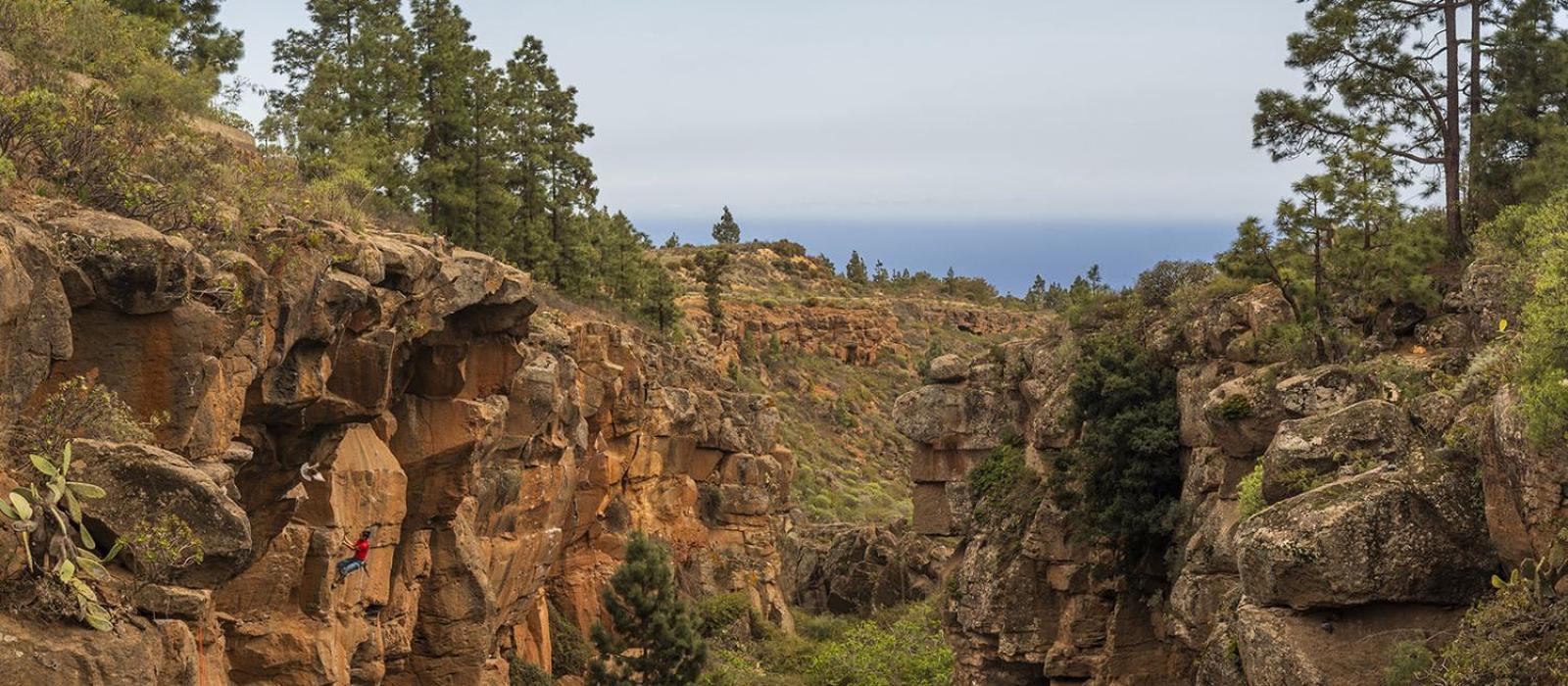 Tenerife Climbing House Arico Zewnętrze zdjęcie